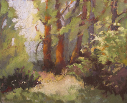 Plein air pastel landscape in Oregon Coast range near corvallis